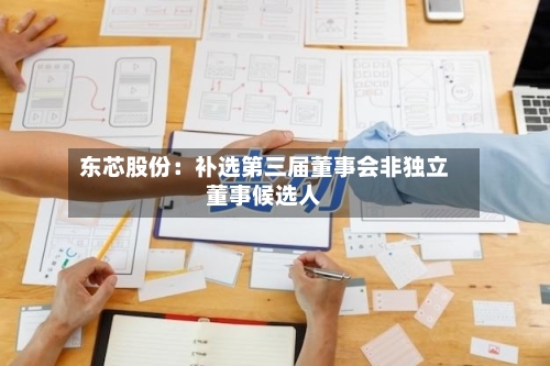 东芯股份:补选第三届董事会非独立董事候选人-第1张图片