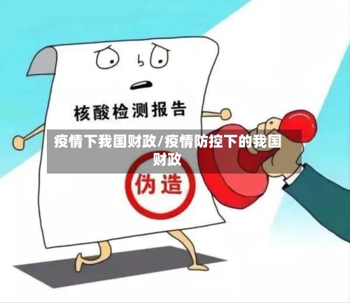 疫情下我国财政/疫情防控下的我国财政