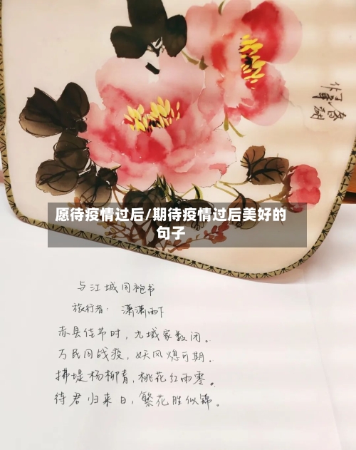 愿待疫情过后/期待疫情过后美好的句子-第1张图片