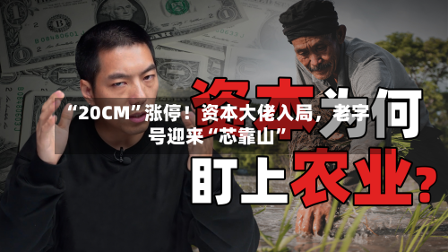“20CM”涨停！资本大佬入局，老字号迎来“芯靠山”-第3张图片