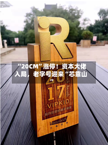 “20CM”涨停！资本大佬入局，老字号迎来“芯靠山	”-第2张图片