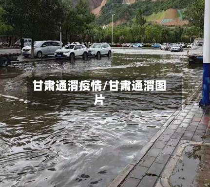 甘肃通渭疫情/甘肃通渭图片-第1张图片