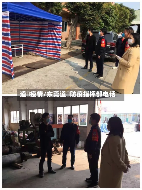 道滘疫情/东莞道滘防疫指挥部电话