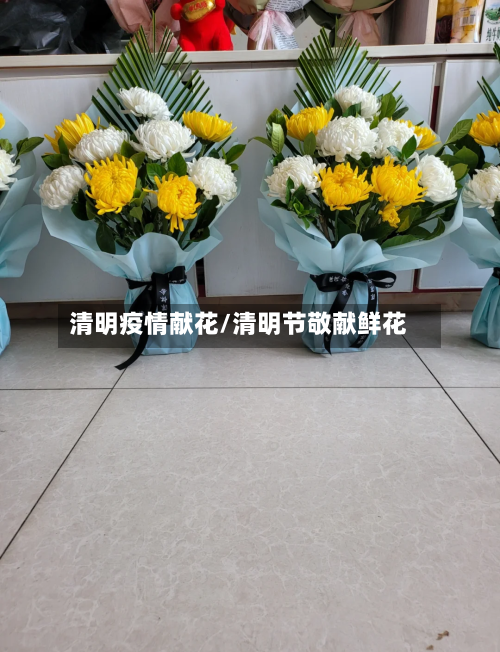 清明疫情献花/清明节敬献鲜花