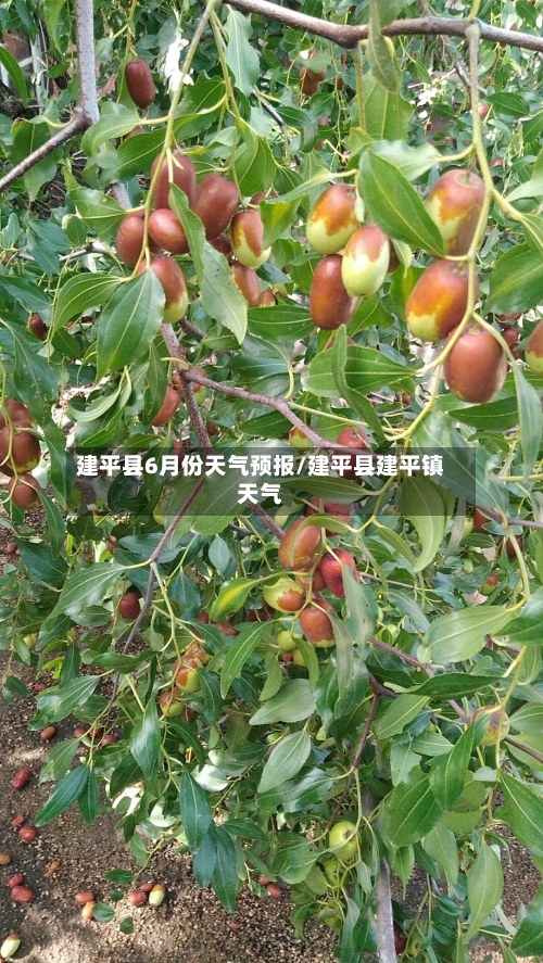 建平县6月份天气预报/建平县建平镇天气