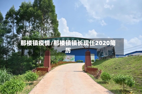 那楼镇疫情/那楼镇镇长现任2020简历-第1张图片