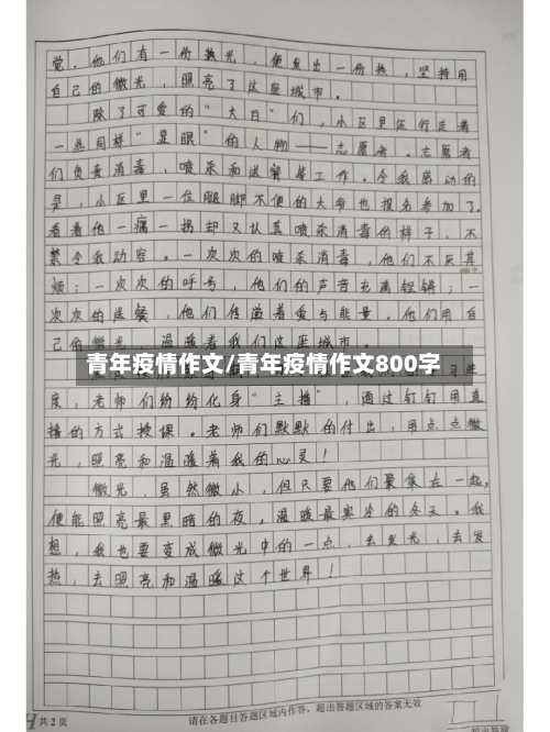 青年疫情作文/青年疫情作文800字