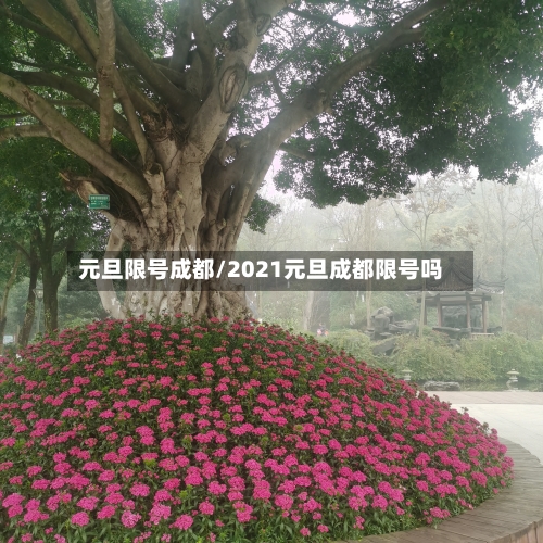 元旦限号成都/2021元旦成都限号吗-第3张图片