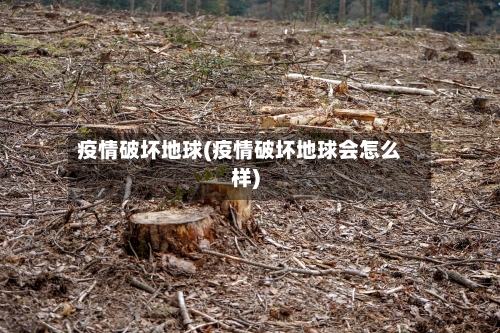 疫情破坏地球(疫情破坏地球会怎么样)-第2张图片