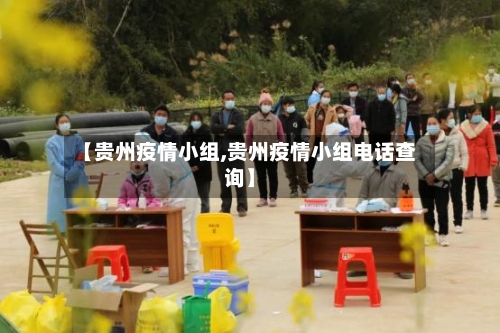 【贵州疫情小组,贵州疫情小组电话查询】