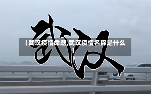 【武汉疫情命题,武汉疫情名称是什么】-第3张图片