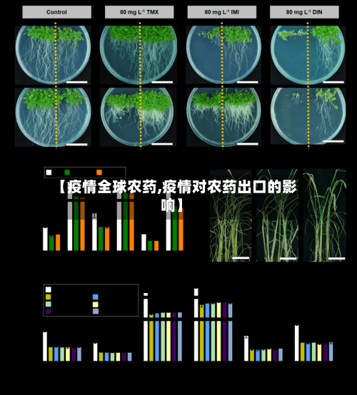 【疫情全球农药,疫情对农药出口的影响】