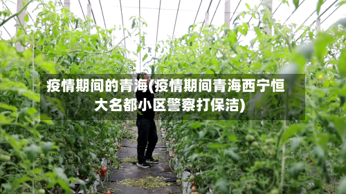 疫情期间的青海(疫情期间青海西宁恒大名都小区警察打保洁)