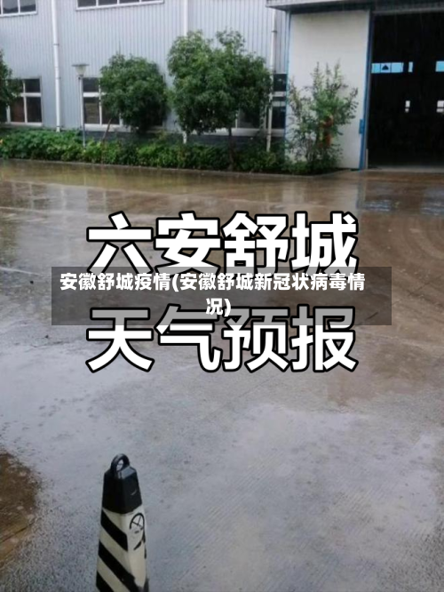 安徽舒城疫情(安徽舒城新冠状病毒情况)-第3张图片