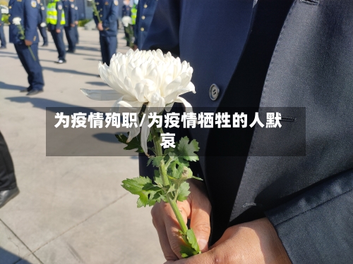 为疫情殉职/为疫情牺牲的人默哀-第2张图片