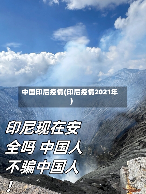 中国印尼疫情(印尼疫情2021年)-第2张图片