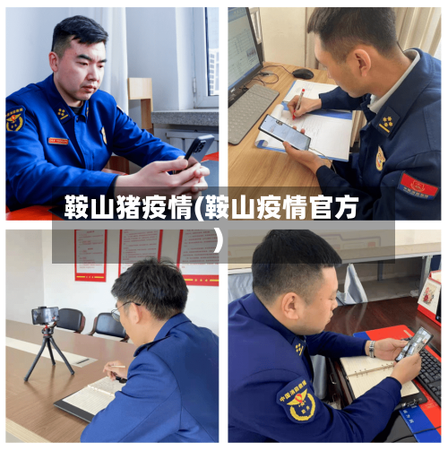 鞍山猪疫情(鞍山疫情官方)