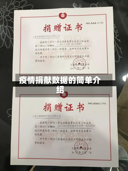 疫情捐献数据的简单介绍-第2张图片