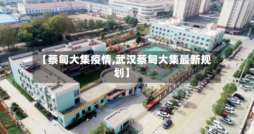 【蔡甸大集疫情,武汉蔡甸大集最新规划】