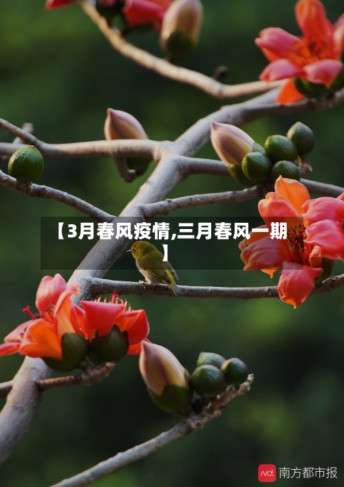 【3月春风疫情,三月春风一期】